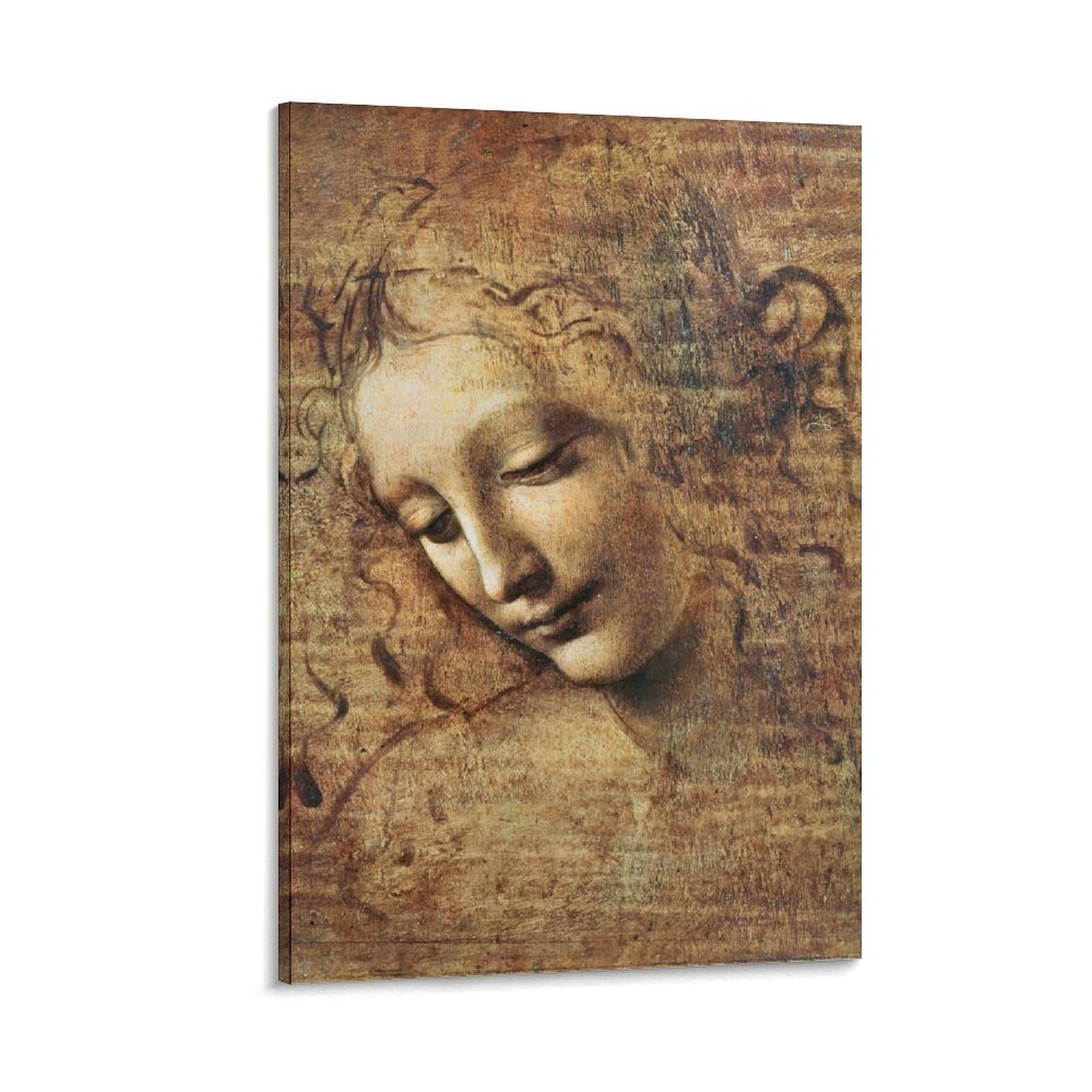 レオナルド　ダ　ヴィンチ　ほつれ髪の女 レオナルド・ダ・ヴィンチ「ほつれ髪の女」 | 足立区綾瀬美術館